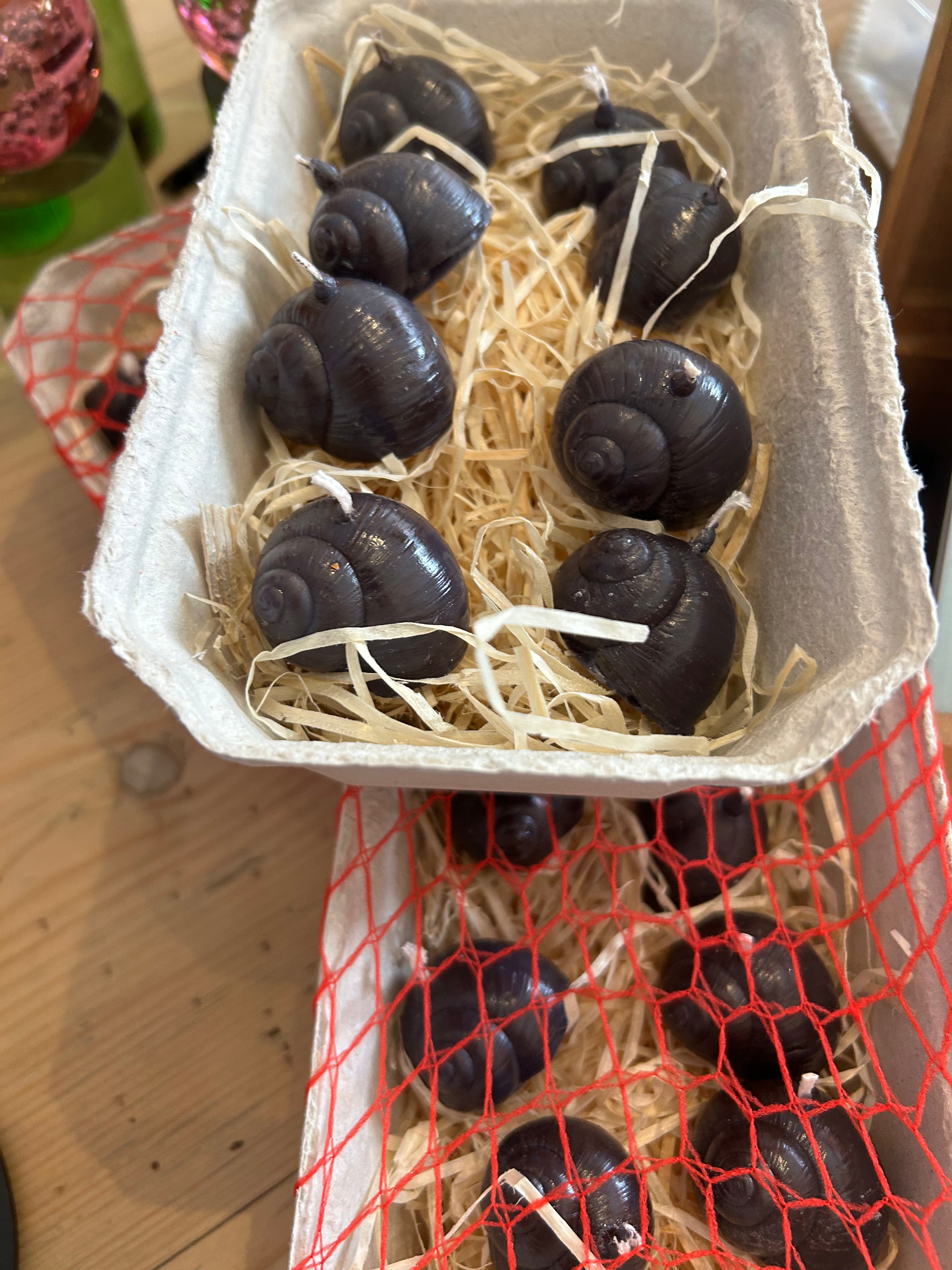 Geburstagsschnecken (8er Pack)